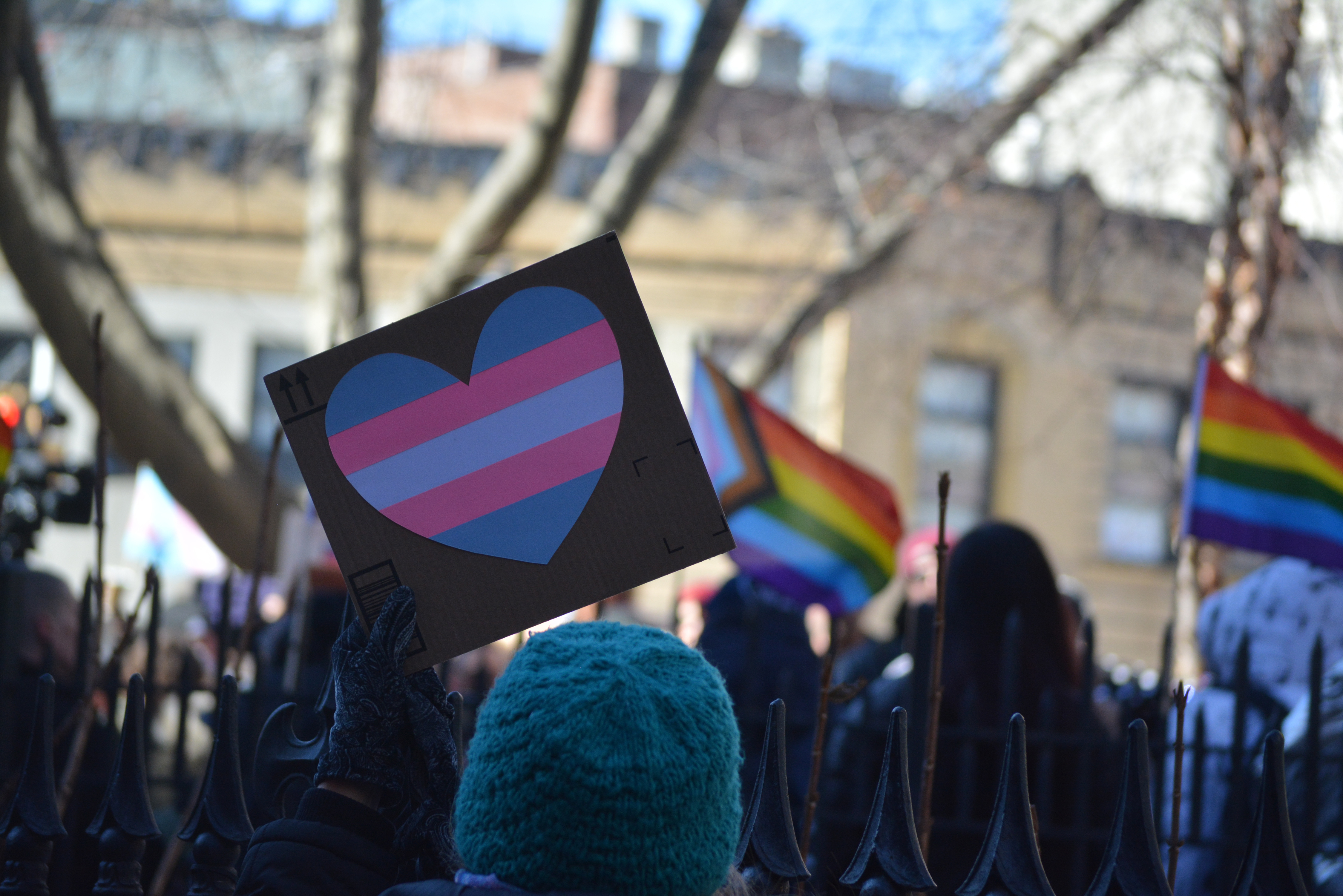 Persons holding Progressive flags and signs 
