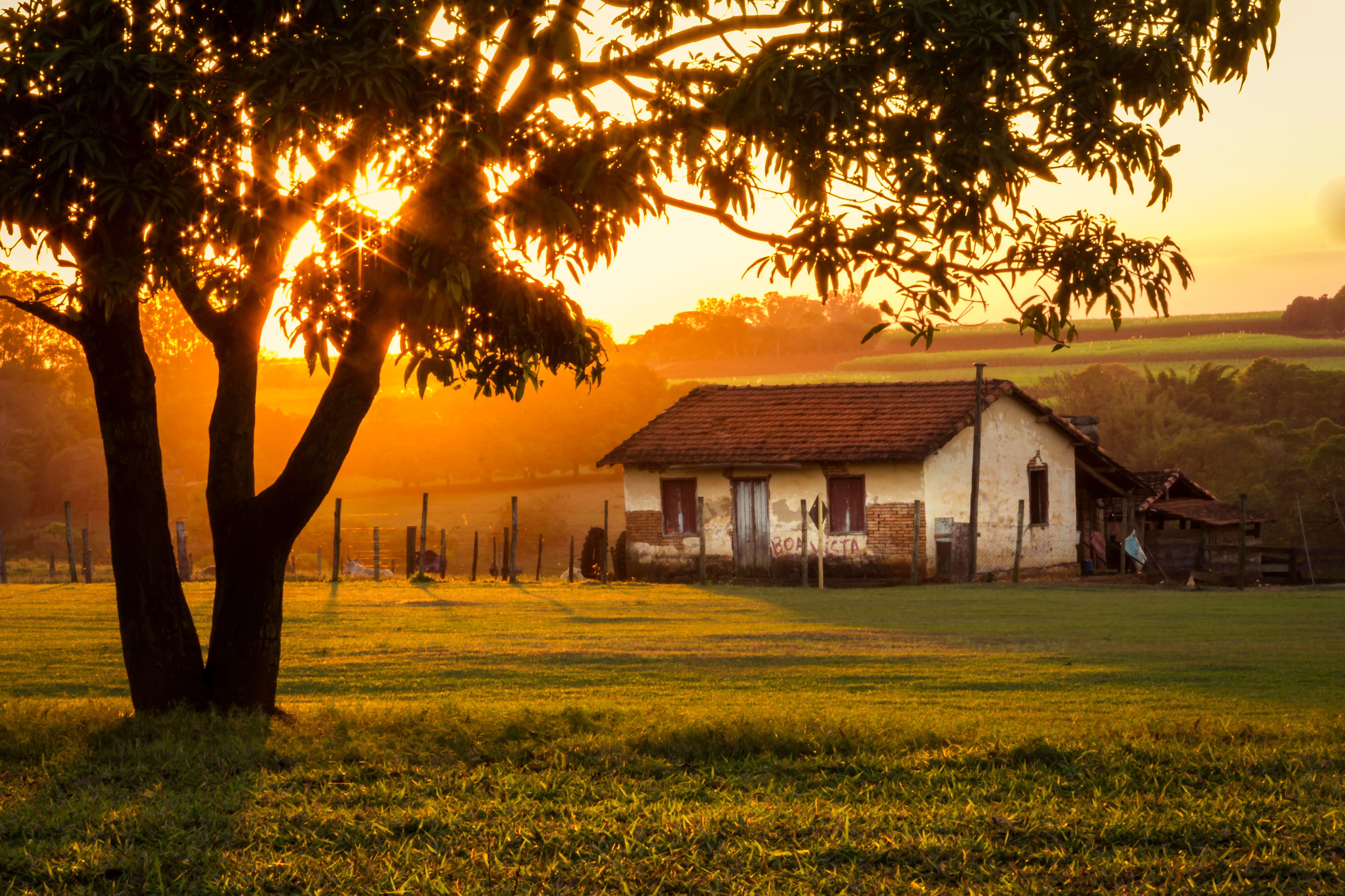 Farmhouse on land with sunset