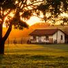 Farmhouse on land with sunset